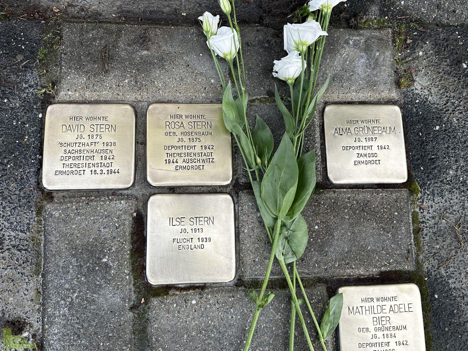 Erinnerung an die Reichspogromnacht – Wider das Vergessen