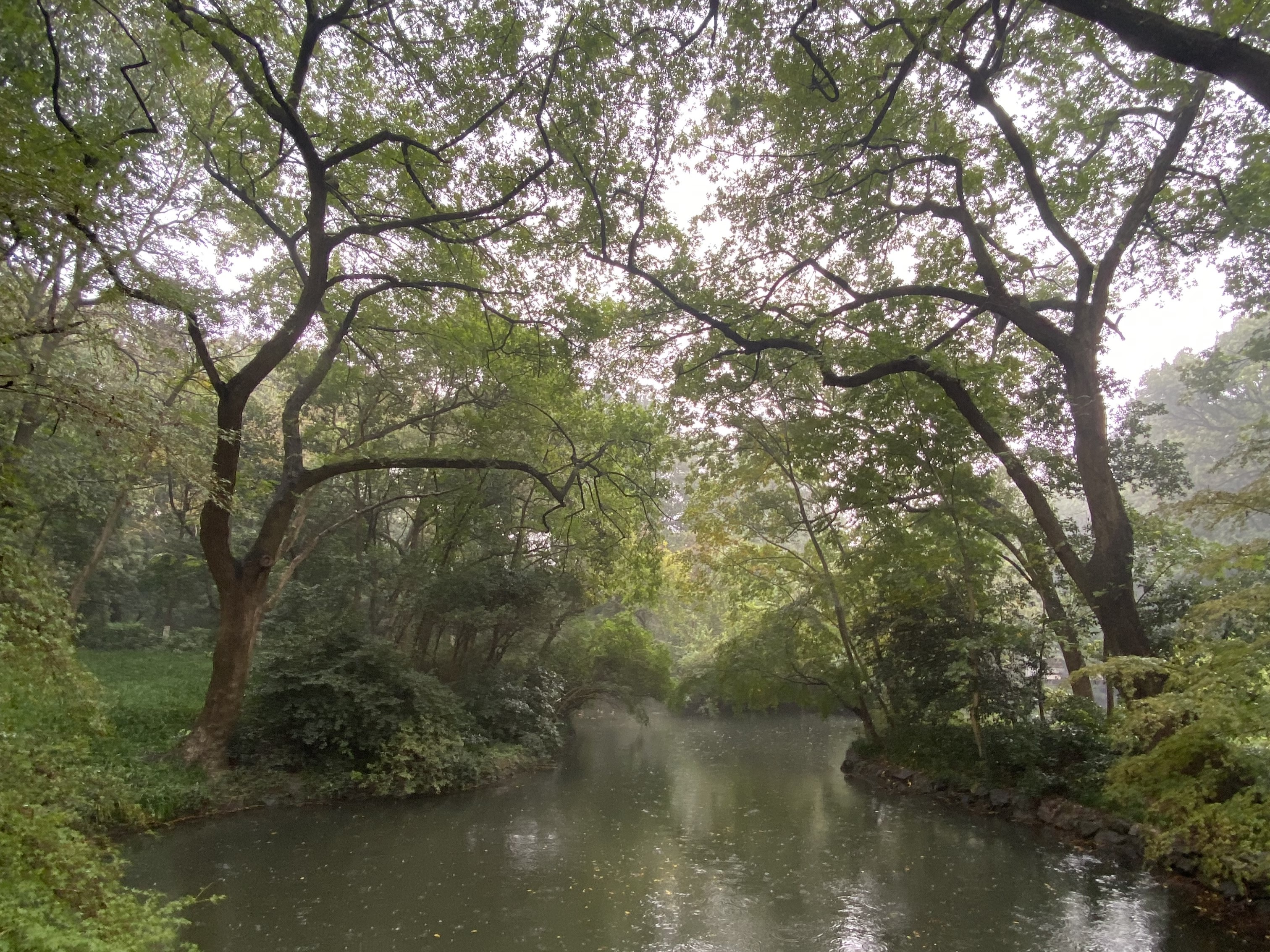 Schüler:innen-Austausch der Hardensteiner - in China