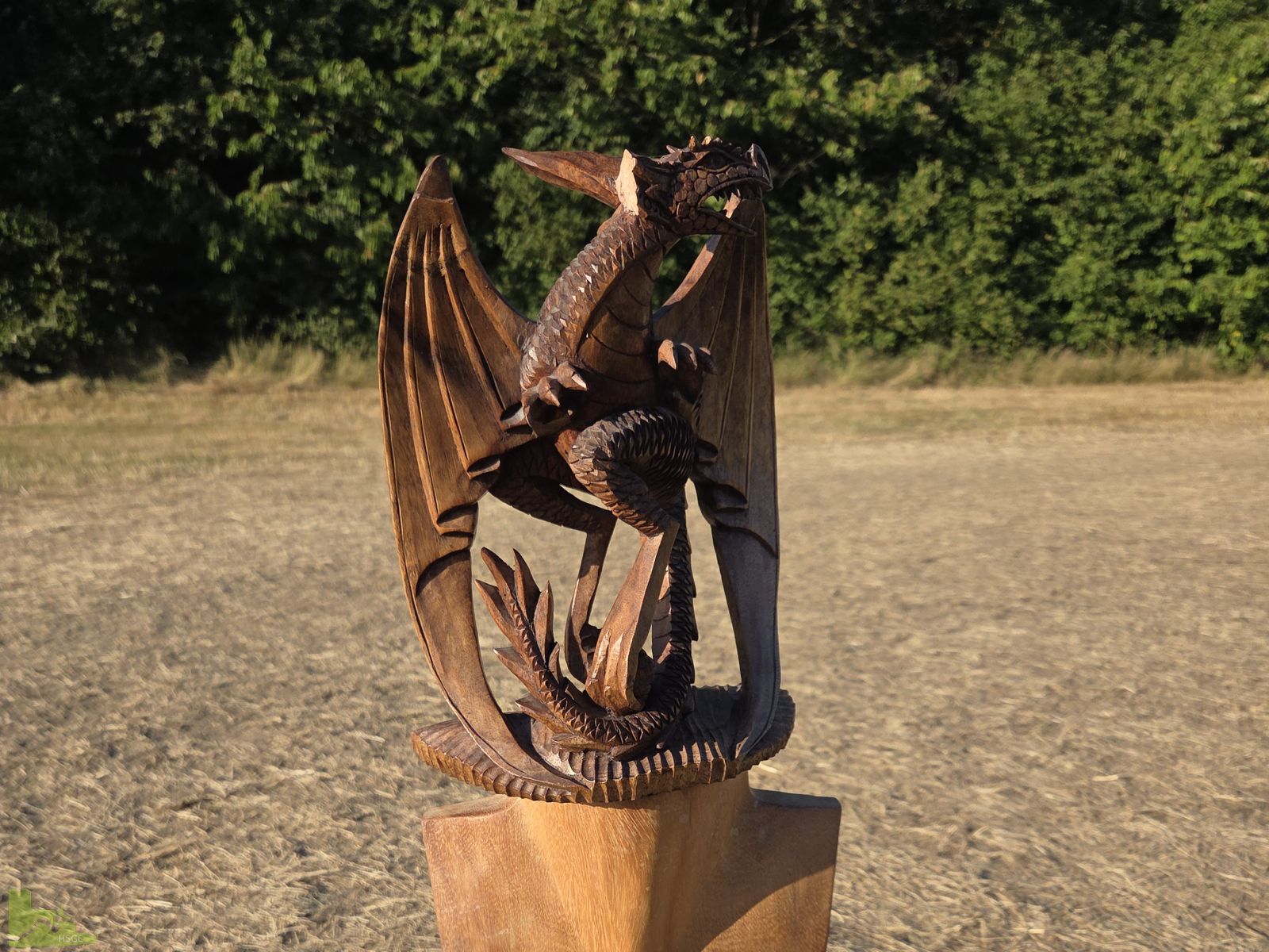 Starke Paddelschläge und kreative Drachen: 6b gewinnt Parents Creative Award beim Schüler-Cup